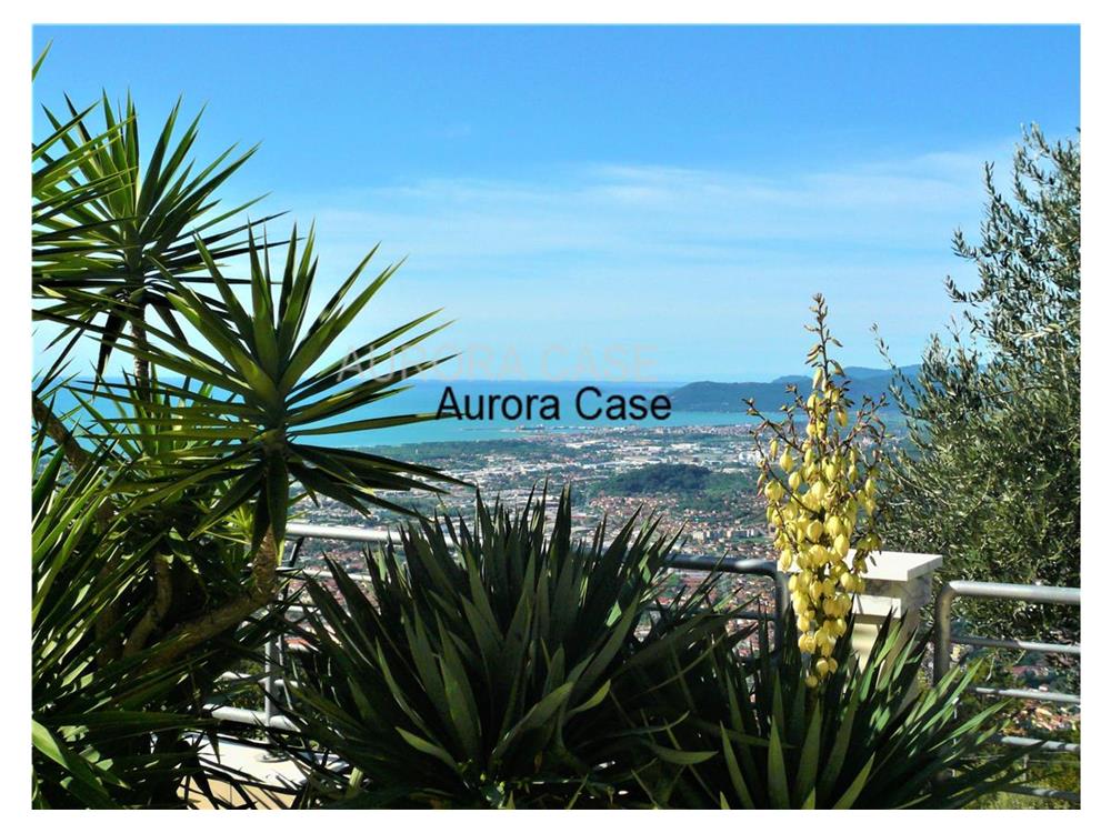 Aurora Case